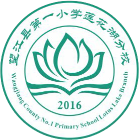 望江县小学莲花湖分校